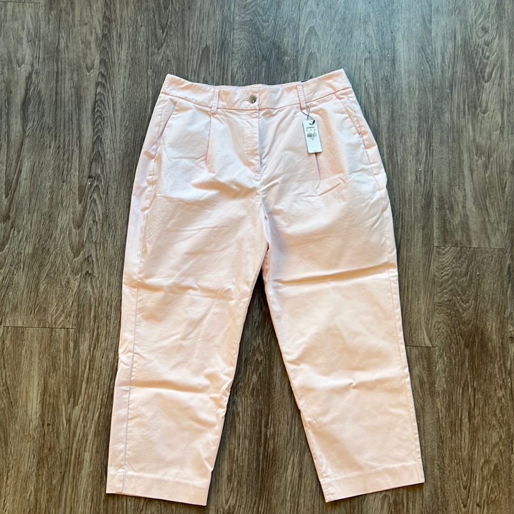 Express Rose Pink Chinos